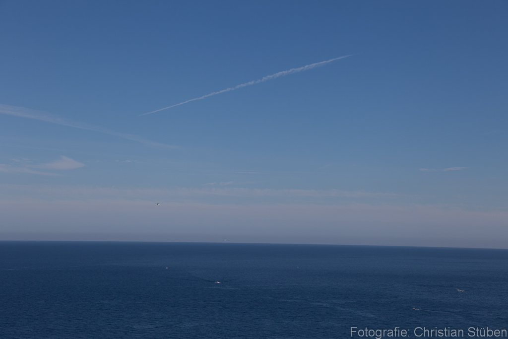 Seascape XI mit Möwe