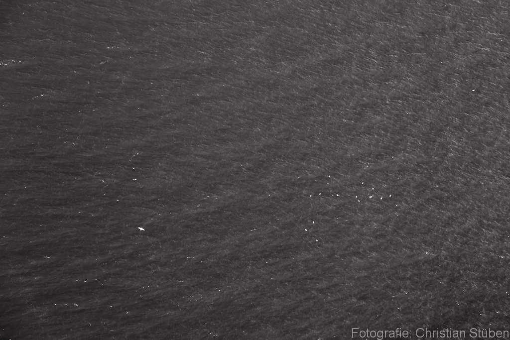 Seascape XIII mit Möwe